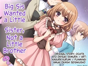Onee-chan ne, Otouto ja Nakute Imouto ga Hoshikatta no. | Big Sis Wanted a Little Sister, Not a Little Brother