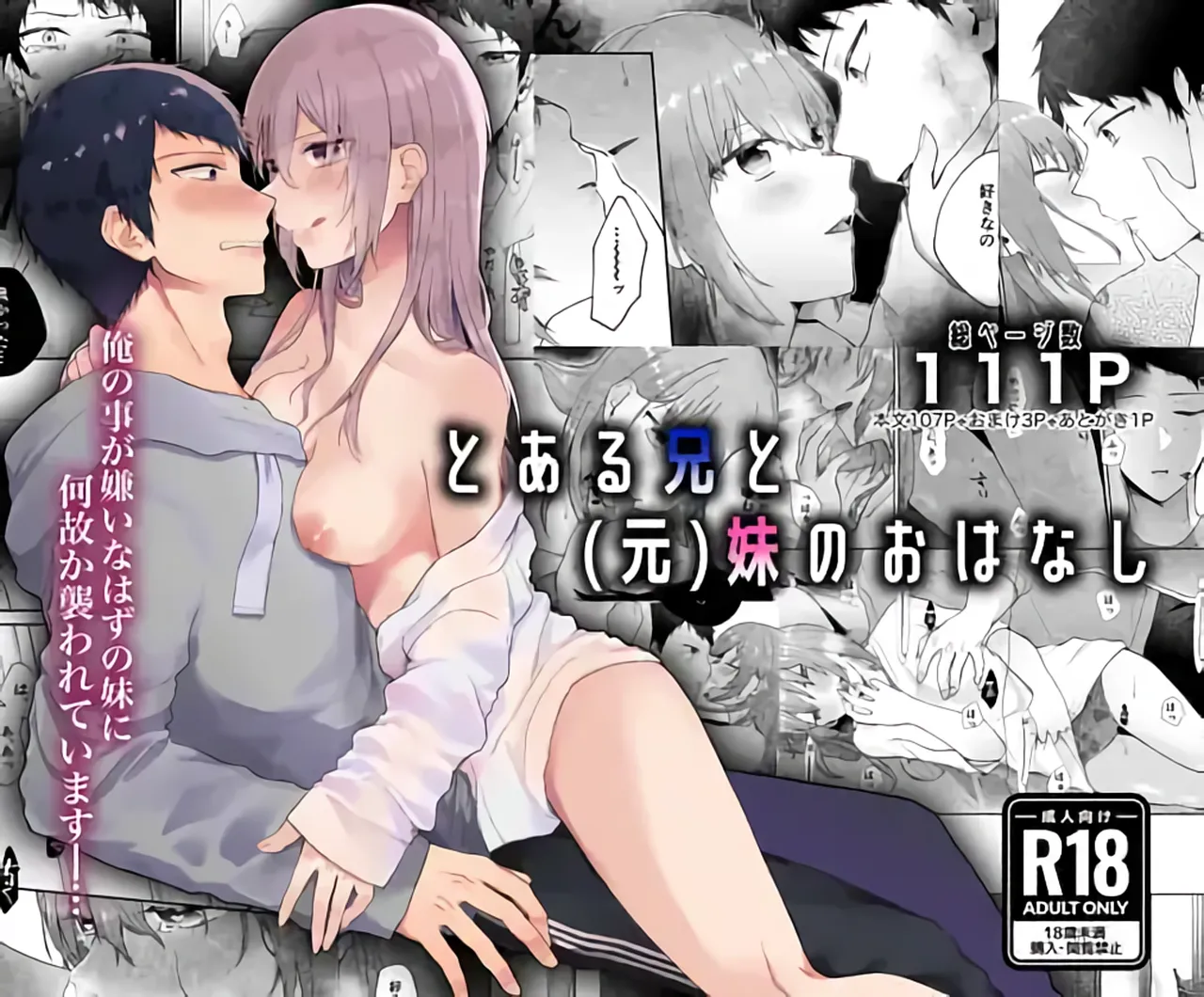 Toaru Ani to Imouto no Ohanashi | The Tale of a Certain Brother and His Sister