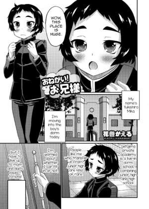 Onegai! Onii-sama
